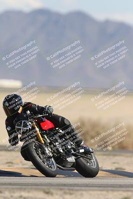 media/Oct-13-2025-Moto Forza (Mon) [[a66d839500]]/3-B Group/Session 4 Turn 4 Tree of Life/